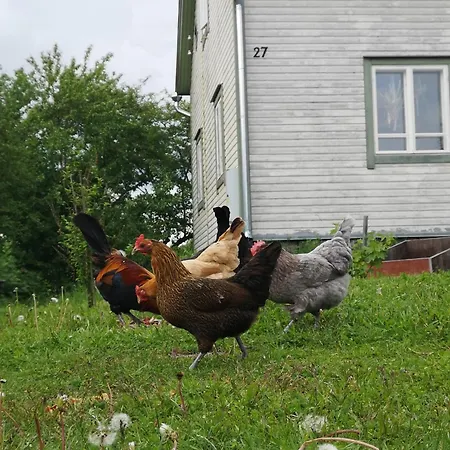 Kaikulan Tila, Uusi Saunallinen Huoneisto Vanhassa Navetassa *