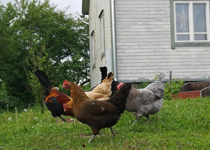 Kaikulan Tila, Uusi Saunallinen Vanhassa Navetassa *